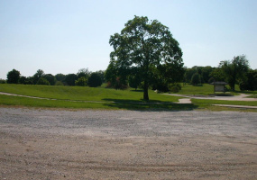 View of Grounds(1)